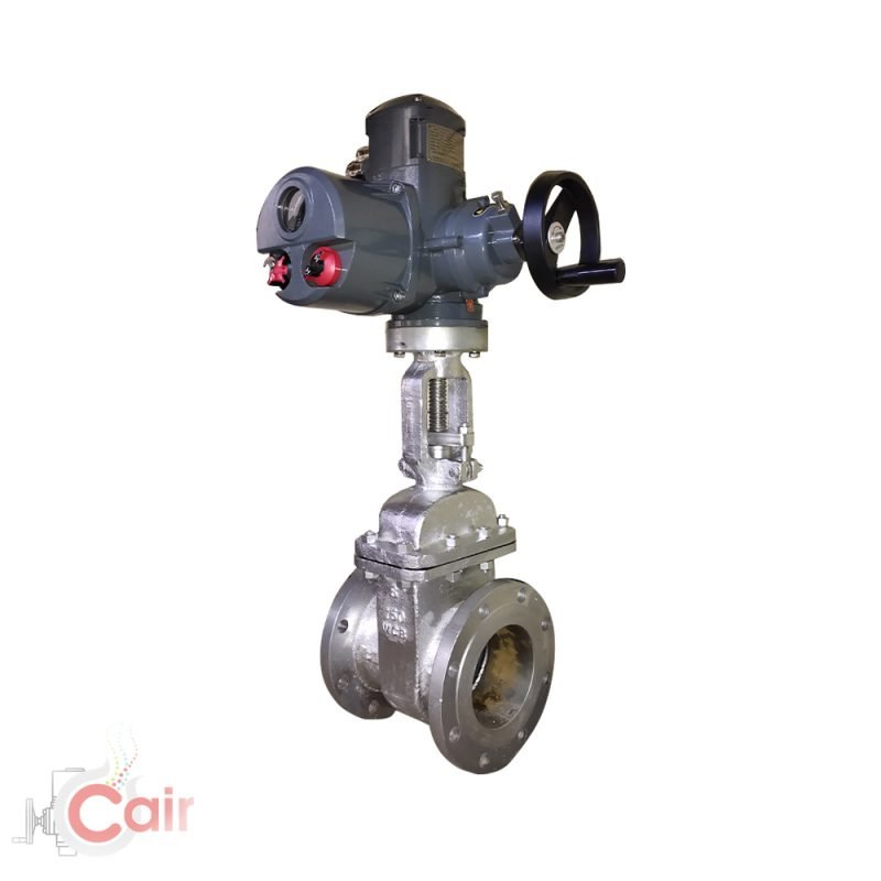 Motorized Gate Valve manufacturer india