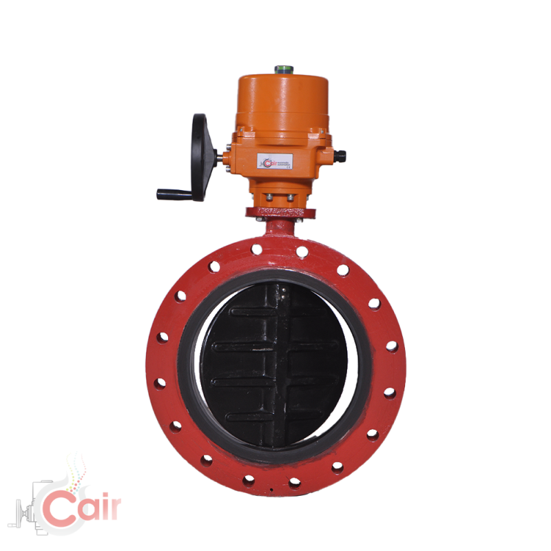 Motorized Rubber-Lined Butterfly Valve Double Flanged valve manufacturer ahmedabad