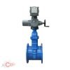 Motorised Sluice Valve with Electrical Actuator Manufactured By Cair Euro