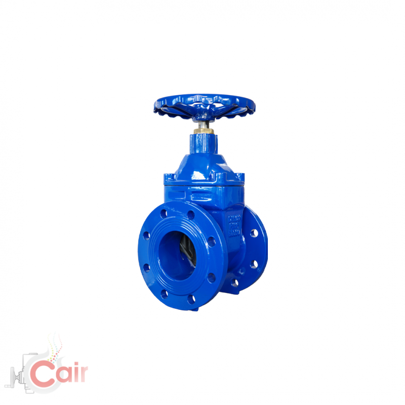 Cair Euromatic is a Top Resilient Gate Valve Supplier in India