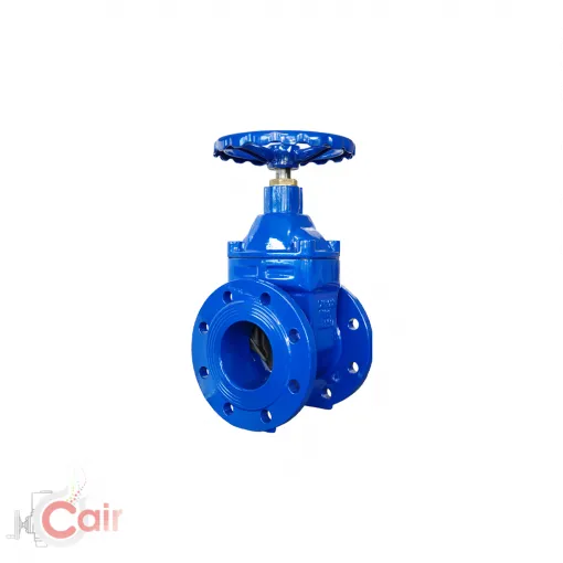 Magnified View of Resilient Gate Valve by Cair India